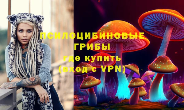 винт Богданович